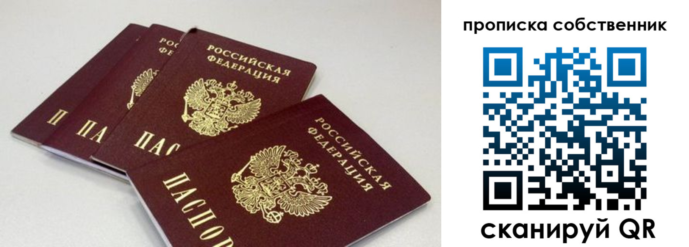 где прописаться в Высоковске